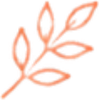 オリジナルブランド
